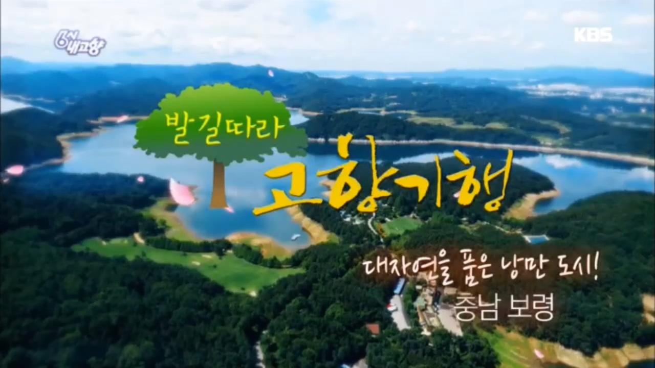 [0222 KBS 6시내고향]발길따라 고향기행 충남보령